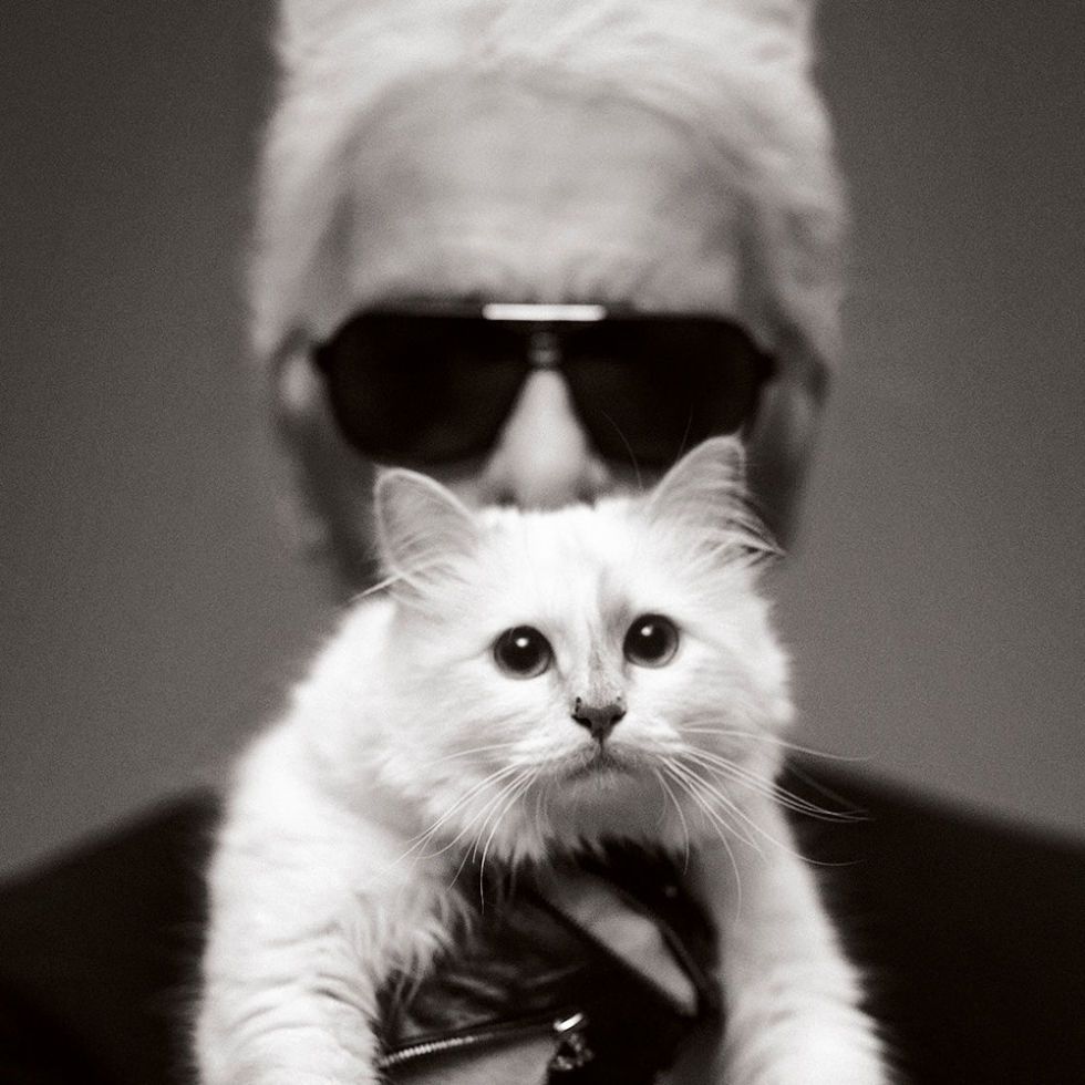 Karl Lagerfeld: Choupette and I