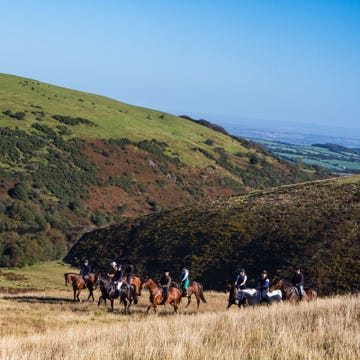 Human, Mountainous landforms, Bridle, Horse supplies, Hill, Highland, Rein, Slope, Horse tack, Grassland, 