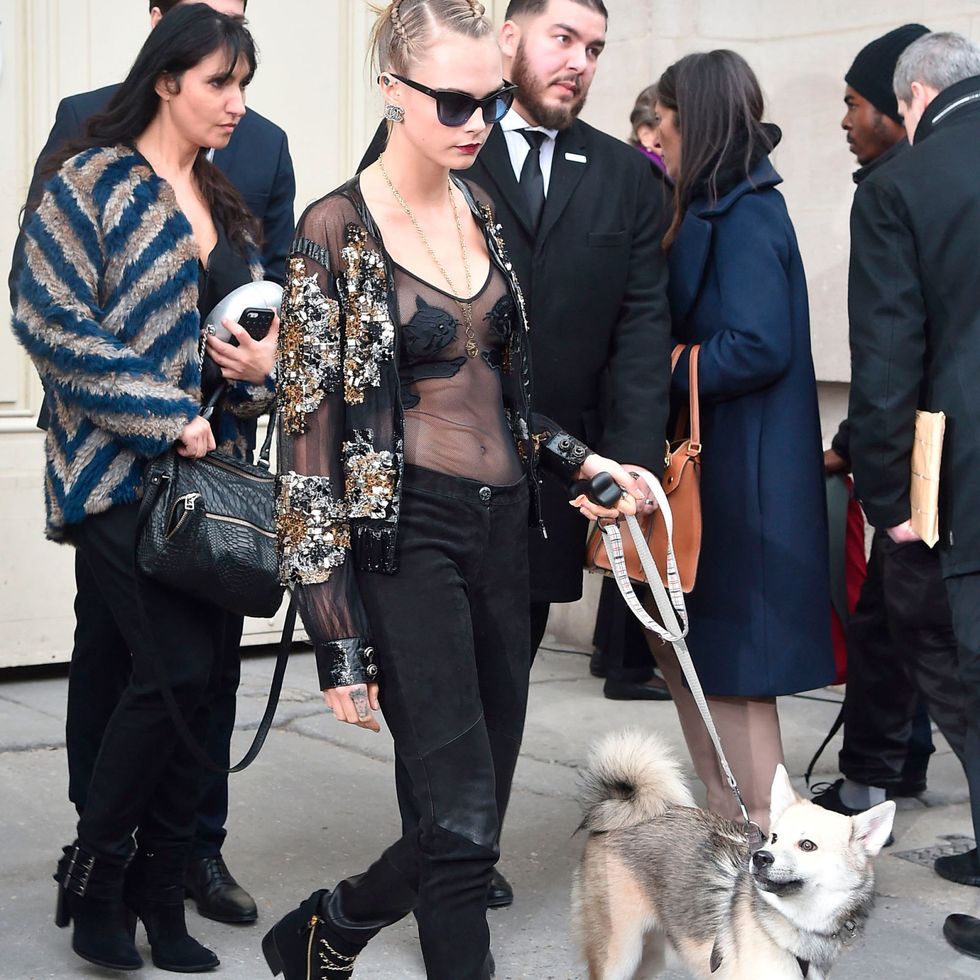 cara delevingne with her dog at the chanel couture show