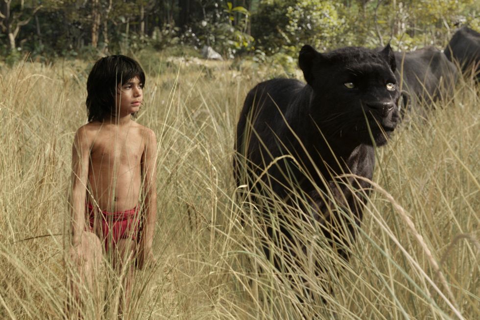 disney jungle book - mowgli