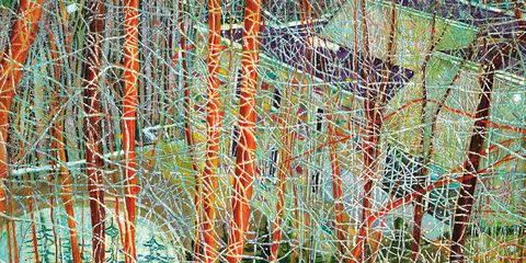 'The Architect's Home in the Ravine' by Peter Doig (1991)