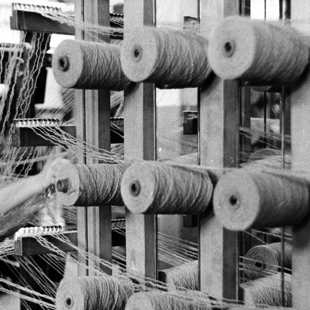 An operater guiding wool from spools onto an industrial loom in the Blackwood, Morton and Sons textile factory at Burnside in the Scottish town of Kilmarnock