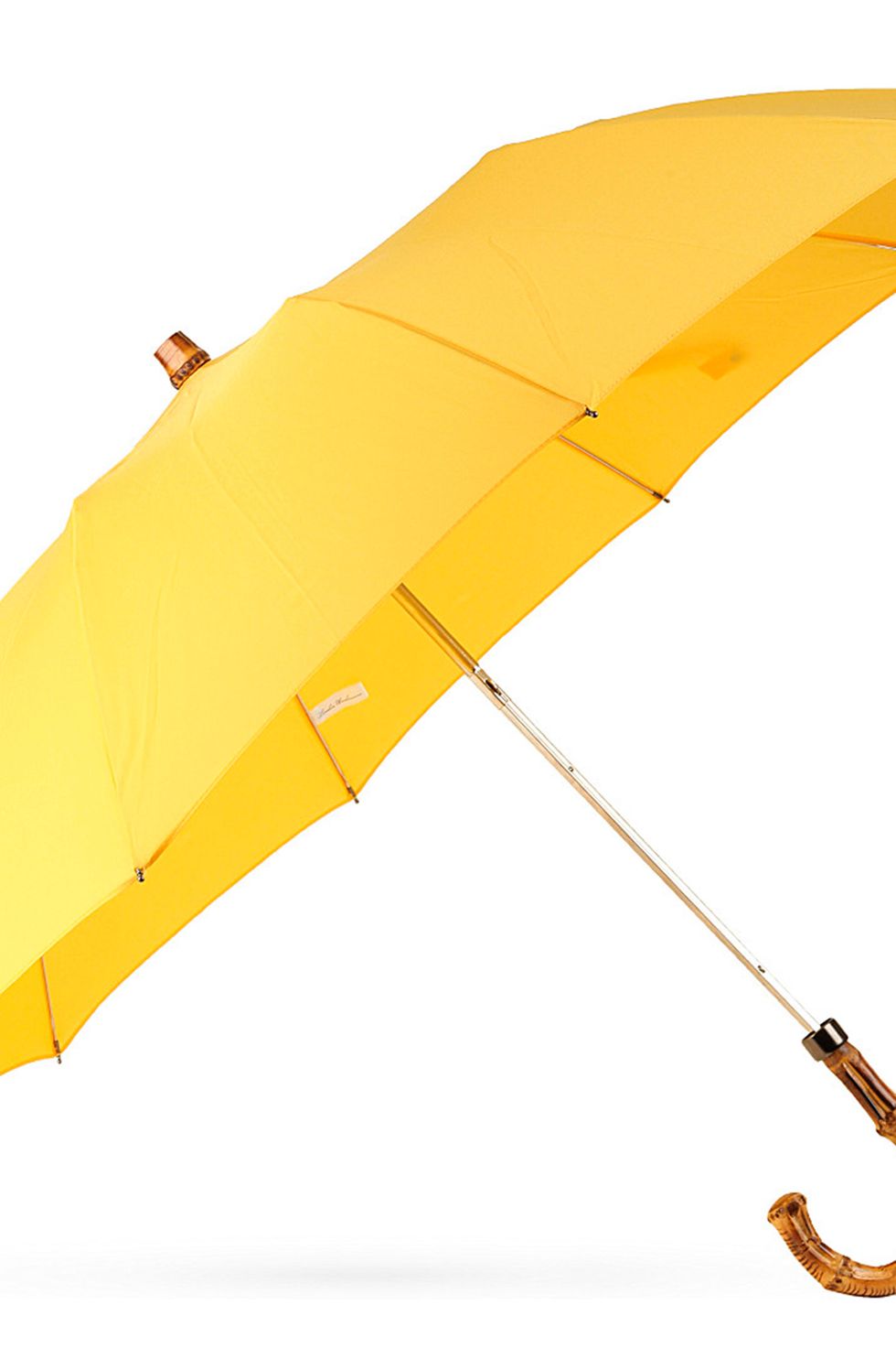 Best umbrellas, most fashionable umbrellas