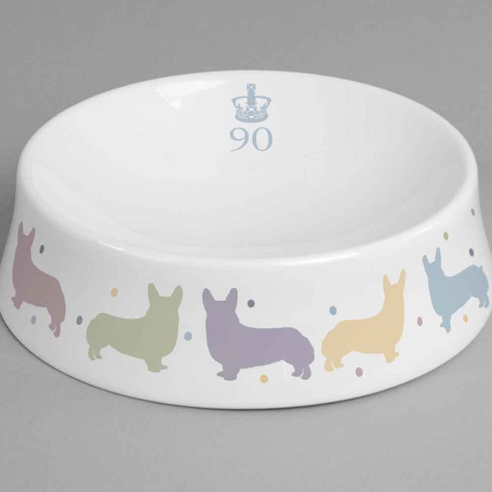 Royal dog bowl