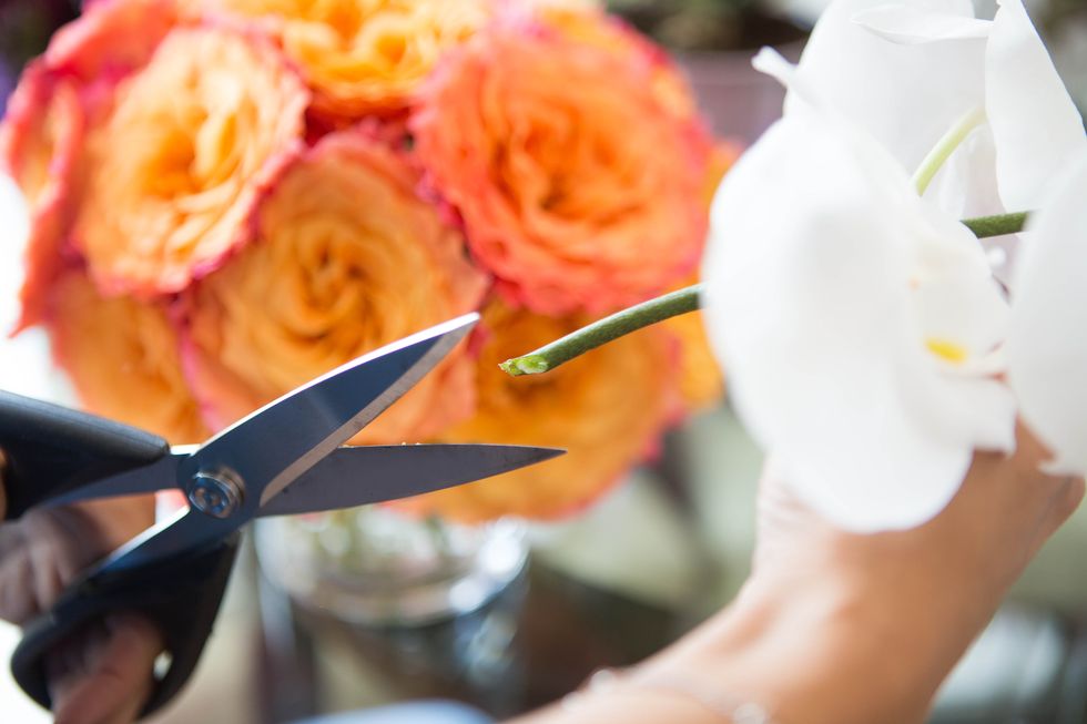 Petal, Flower, Kitchen utensil, Flowering plant, Orange, Cutlery, Spoon, Scissors, Office supplies, Peach, 