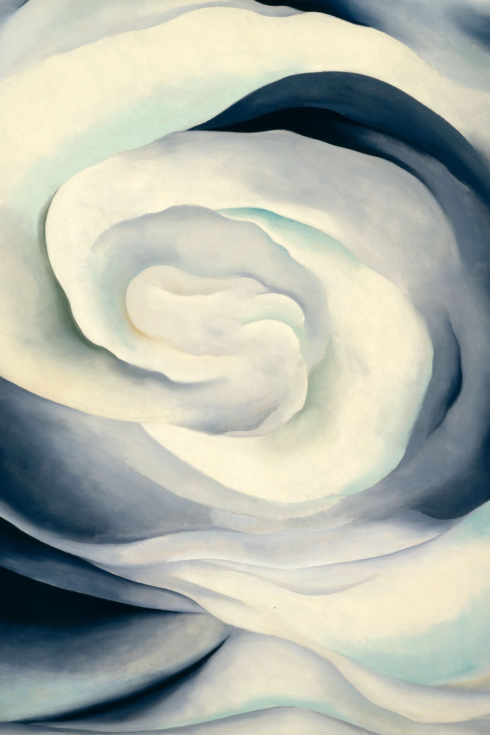 Georgia O'Keeffe, Abstraction White Rose