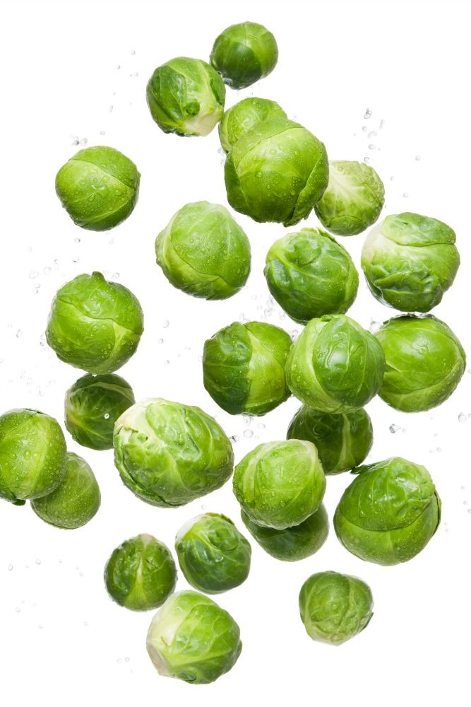 Healthy eating clean organic fresh vegetable brussel sprouts flying and bouncing up into the air in studio on a white background for wellness