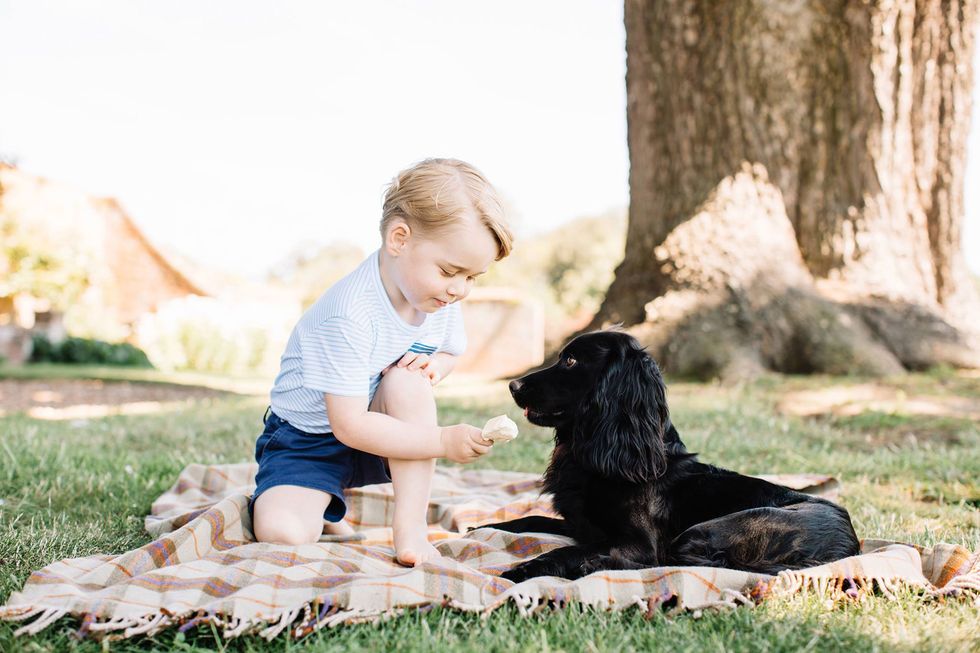Prince George and Lupo the dog
