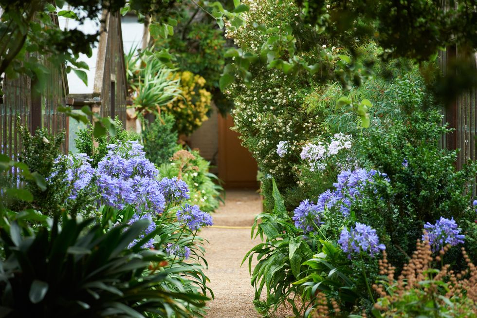 Chelsea Pyschic Garden - London's Hidden Gardens