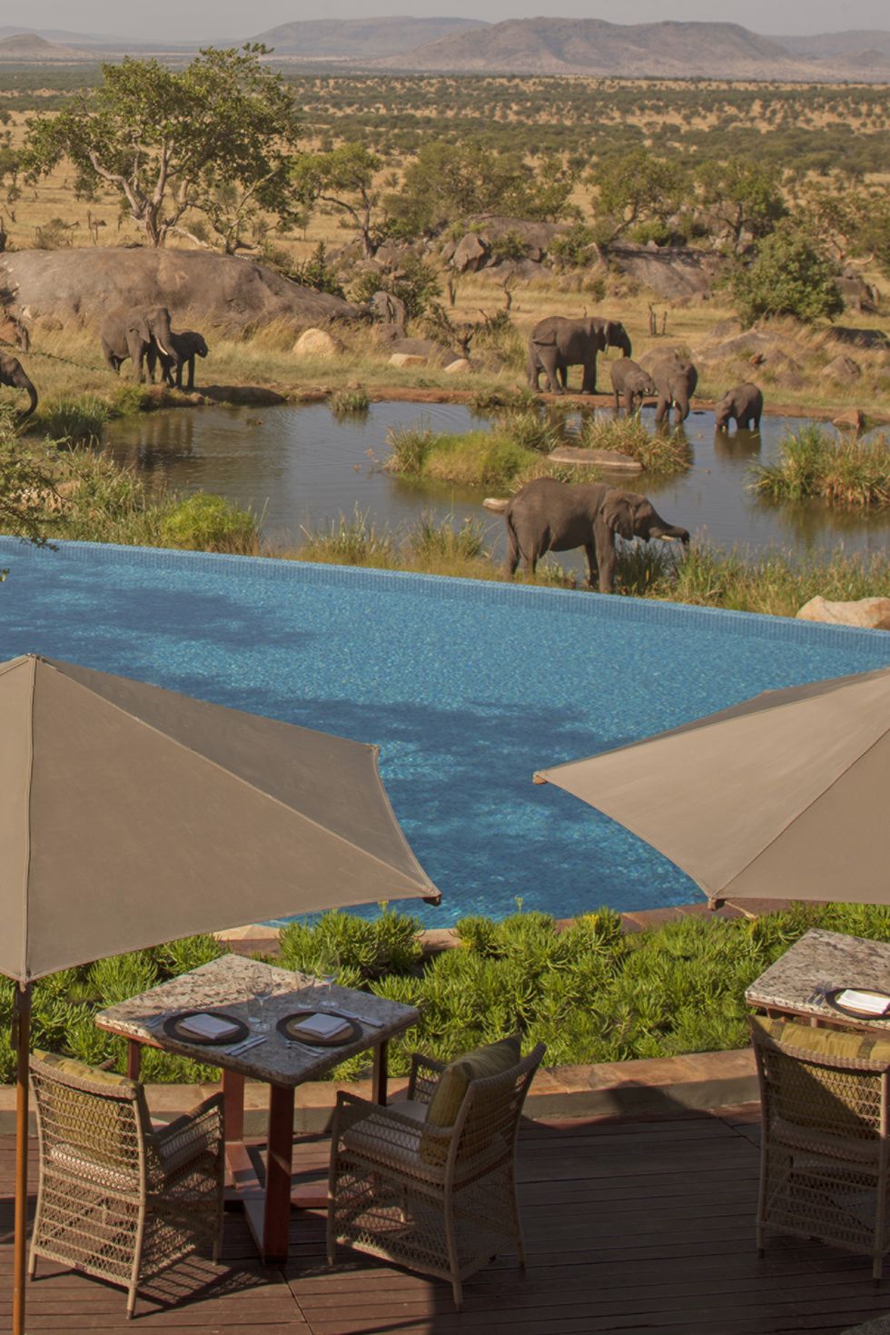 The pool at Four Seasons Safari Lodge in Tanzania