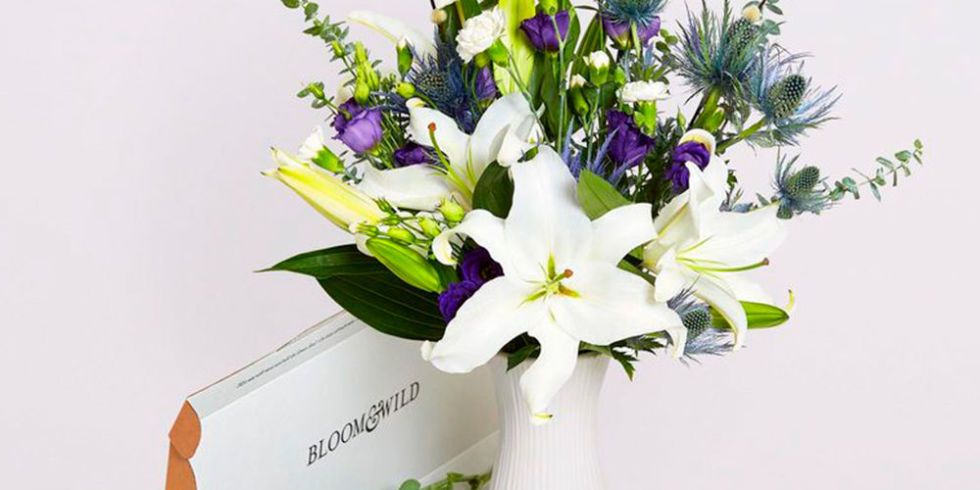 Bouquet, Petal, Flower, Purple, Lavender, Cut flowers, Floristry, Violet, Flower Arranging, Centrepiece, 