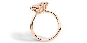 Ring, Jewellery, Engagement ring, Fashion accessory, Diamond, Wedding ceremony supply, Wedding ring, Gemstone, Platinum, Finger, 