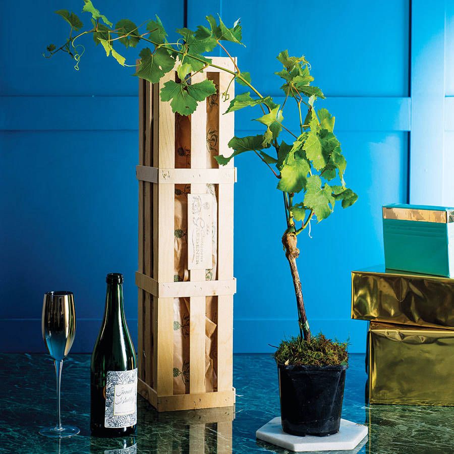 Grow Your Own Prosecco
