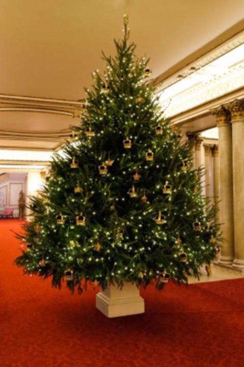 buckingham palaces christmas trees come complete with hundreds of tiny embroidered crowns - Where Did Christmas Trees Come From buckingham palaces christmas trees come complete with hundreds of tiny embroidered crowns - Where Did Christmas Trees Come From