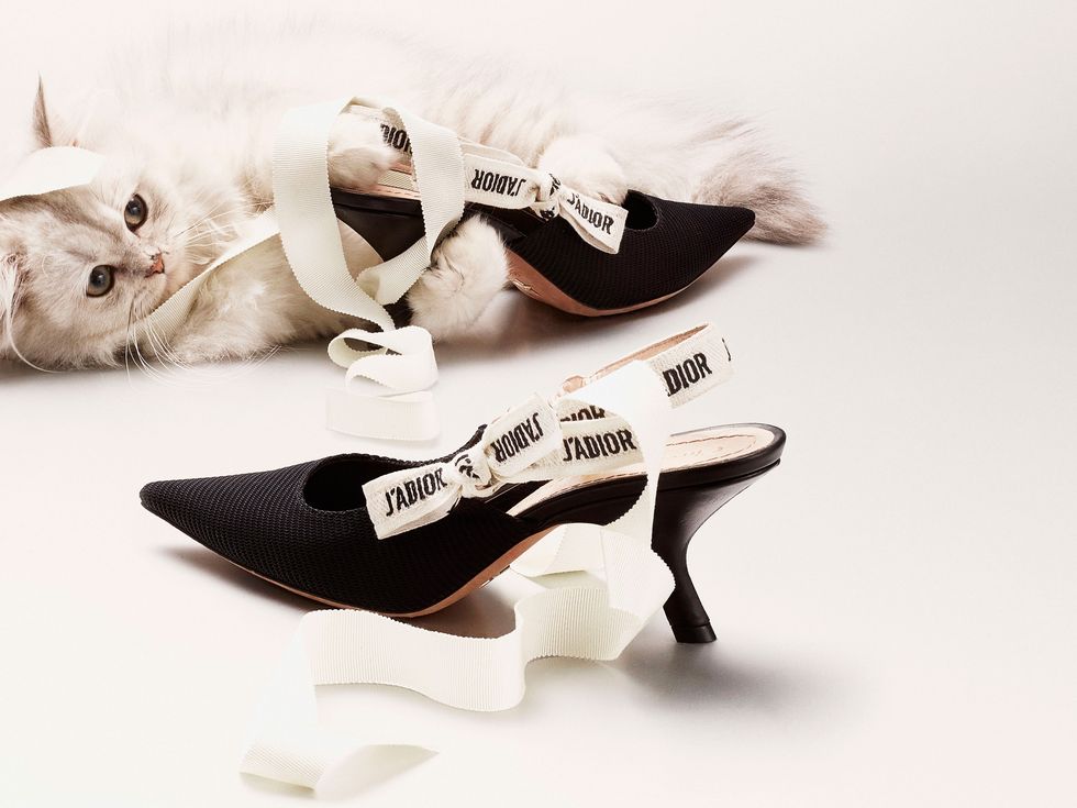 Dior kitten heels