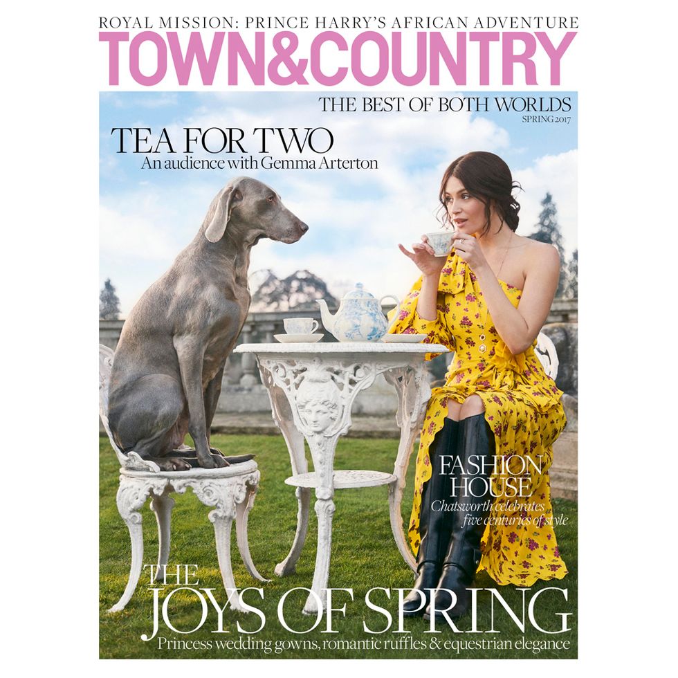 T&C spring cover