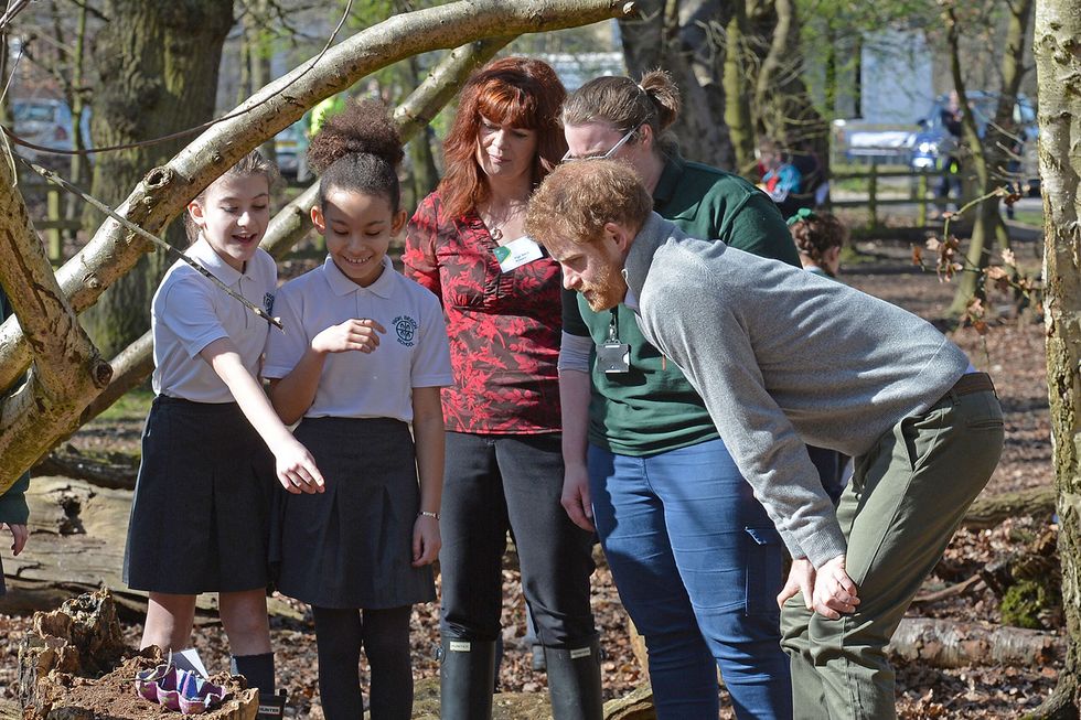 People, Social group, Tree, Adaptation, Spring, Fun, Woodland, Plant, Soil, Family, 