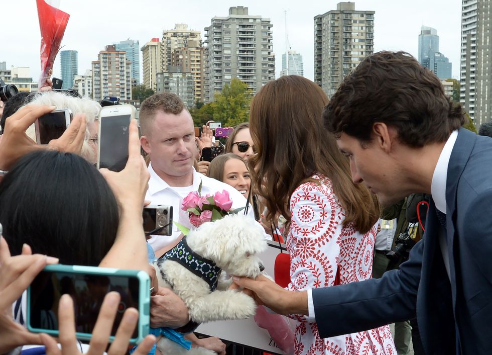 <p>Resisting the urge to turn around and pet the same dog as Justin Trudeau at the Kitsilano Coast Guard station&nbsp;in Vancouve<span class="redactor-invisible-space" data-verified="redactor" data-redactor-tag="span" data-redactor-class="redactor-invisible-space">r.</span></p>