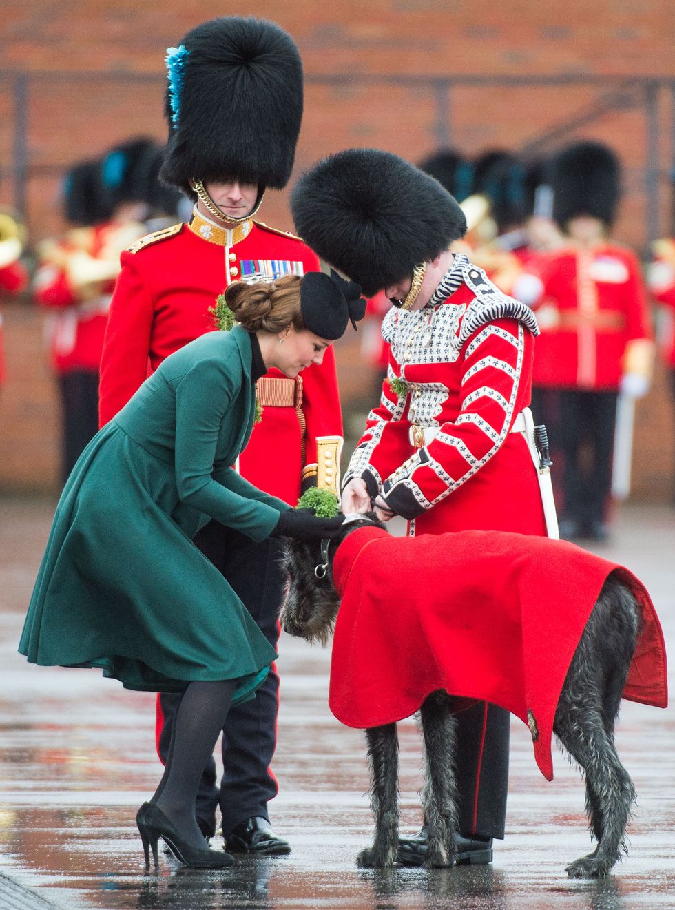 <p>Giving shamrocks to Domhnall<span class="redactor-invisible-space" data-verified="redactor" data-redactor-tag="span" data-redactor-class="redactor-invisible-space"></span> during the Irish Guards' St Patrick's Day Parade in Aldershot, England.<span class="redactor-invisible-space" data-verified="redactor" data-redactor-tag="span" data-redactor-class="redactor-invisible-space"></span></p>