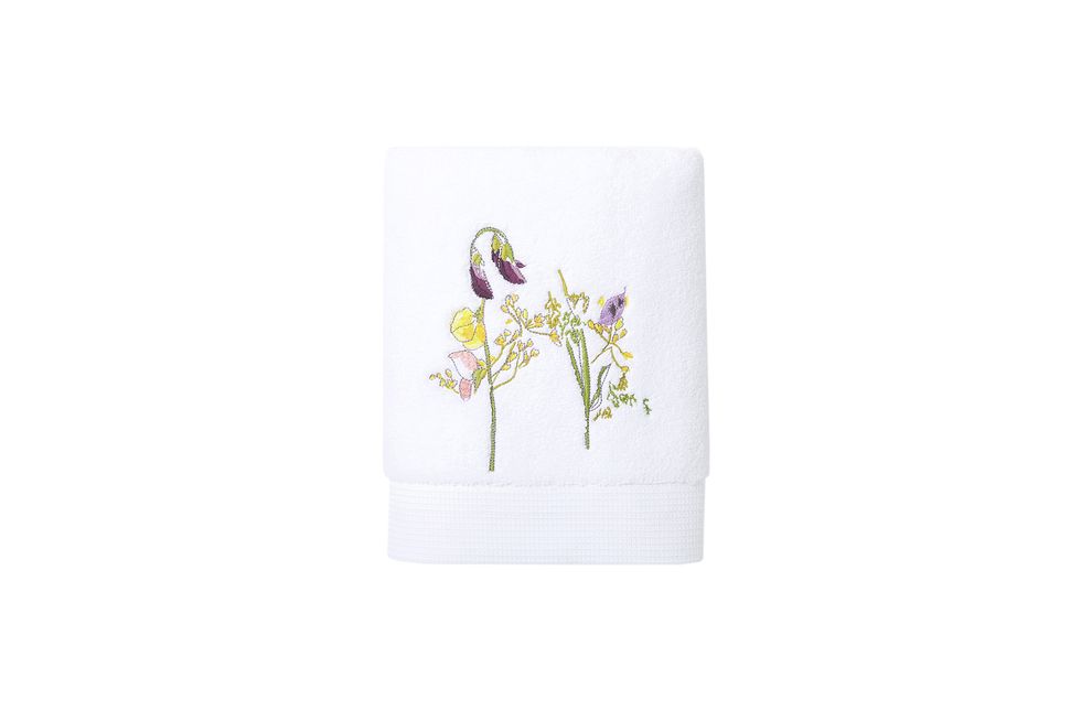 Violet, Flower, Plant, Wildflower, Porcelain, Drinkware, Iris, Paper product, Morning glory, Violet family, 