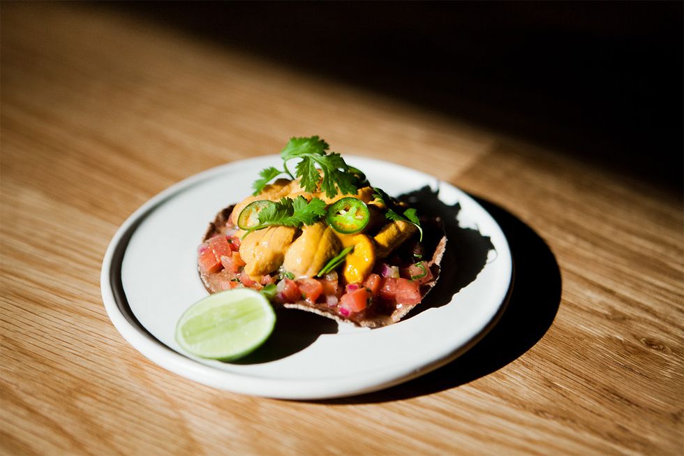 A tostada from Cosme, New York