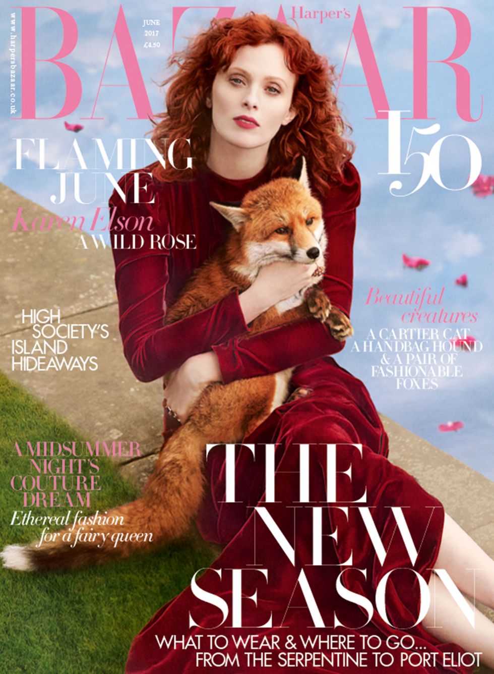 Vertebrate, Carnivore, Publication, Poster, Fox, Fur, Red hair, Red fox, Book cover, Book, 