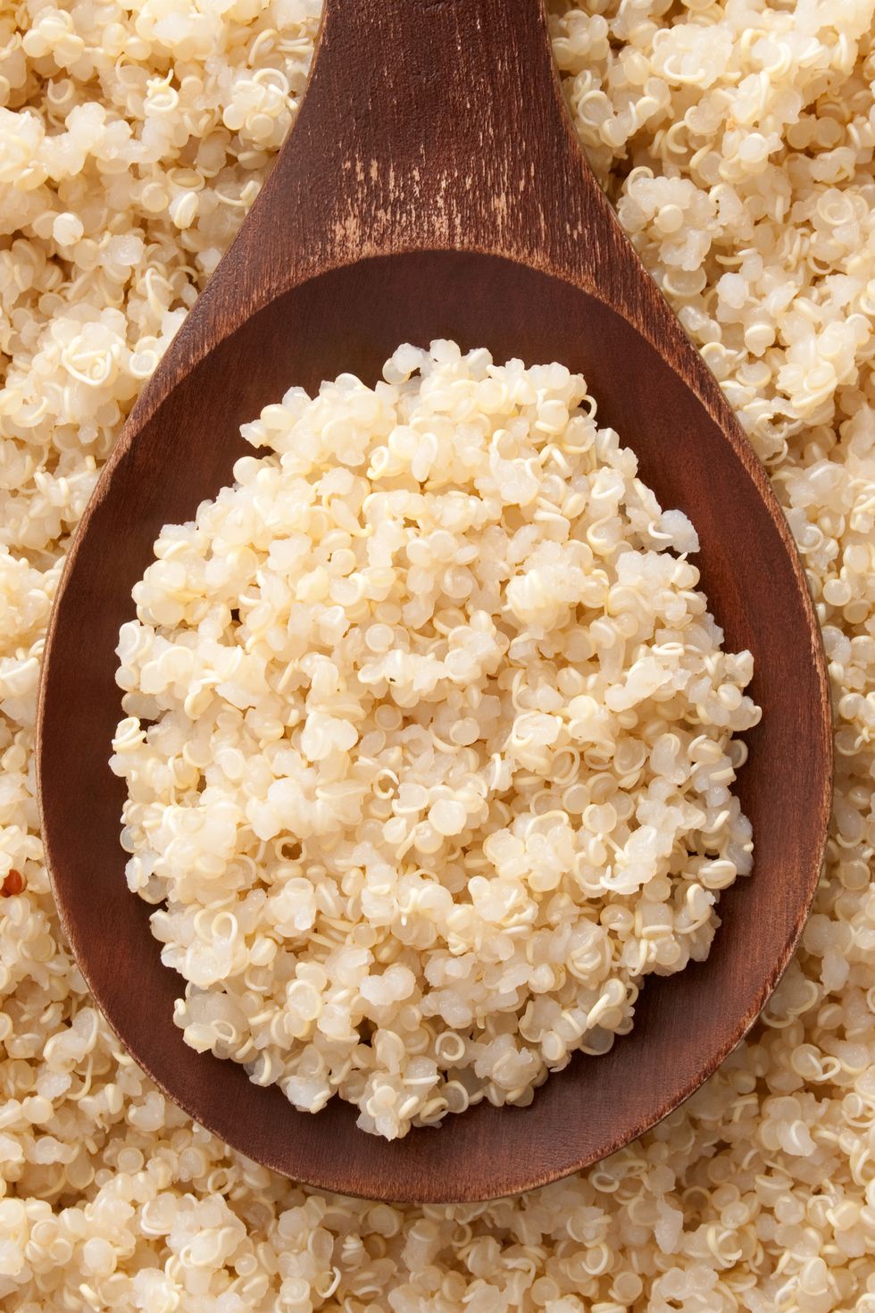 Food, Dish, White rice, Steamed rice, Cuisine, Jasmine rice, Arborio rice, Rice, Ingredient, Popcorn, 
