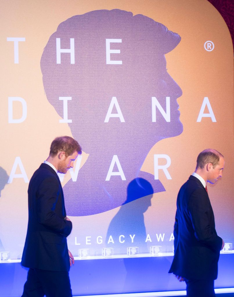 Prince Harry, Prince William at The Diana Award
