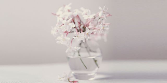 White, Pink, Flower, Cut flowers, Vase, Plant, Lilac, Spring, Blossom, Still life photography, 