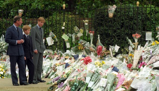 Prince Charles, Prince William, Prince Harry after Diana's death in 1997 - BBC1 documentary Diana