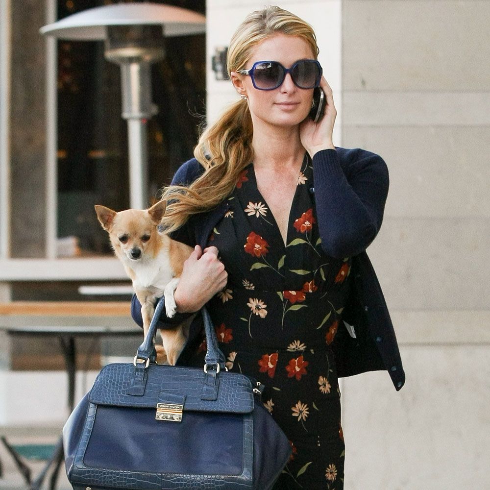 Name Paris Hilton's Handbags! - PurseBlog