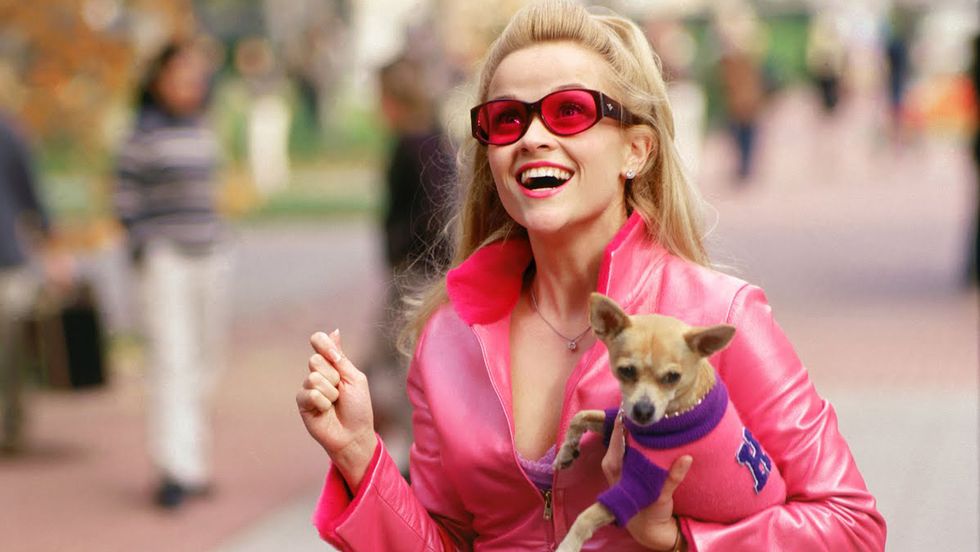 Dog, Canidae, Eyewear, Companion dog, Pink, Dog breed, Street fashion, Sunglasses, Blond, Fashion, 