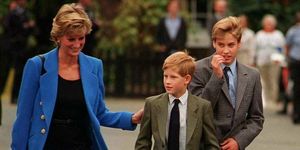Princess Diana, Prince William and Prince Harry