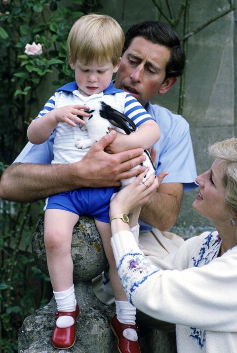 Prince Harry, Prince Charles and Princess Diana in 1986