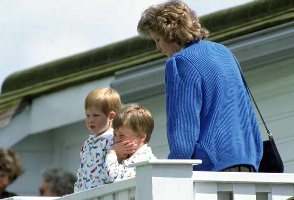 Prince William And Prince Harry With Their Nanny Watching Their Father Play Polo At Guards Polo Club. The Princes Are Wearing Identical Patterned Sweatshirts.