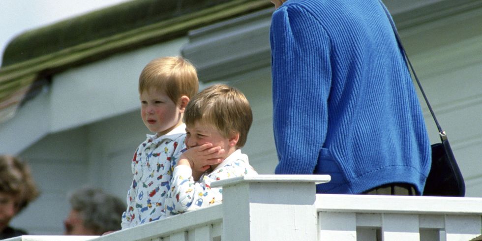 Prince William And Prince Harry With Their Nanny Watching Their Father Play Polo At Guards Polo Club. The Princes Are Wearing Identical Patterned Sweatshirts.