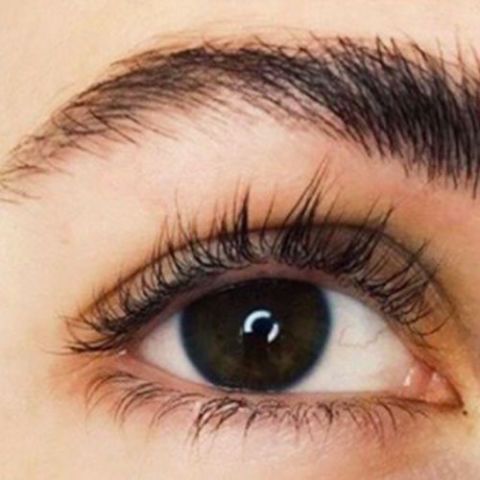 Microfeathering eyebrows trend