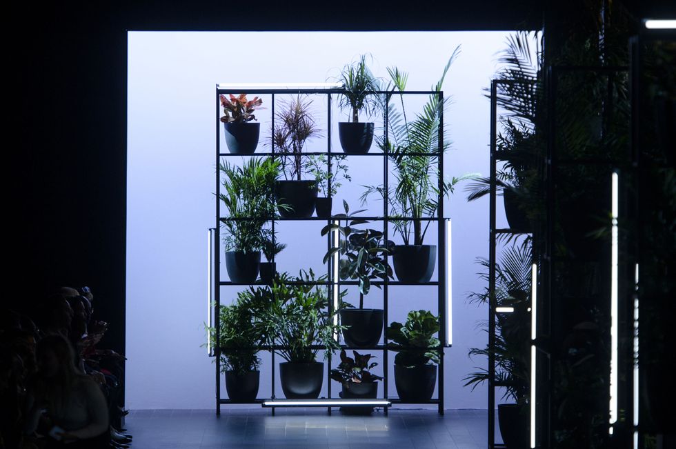 Tree, Architecture, Window, Plant, House, Houseplant, Glass, Facade, Flowerpot, Interior design, 