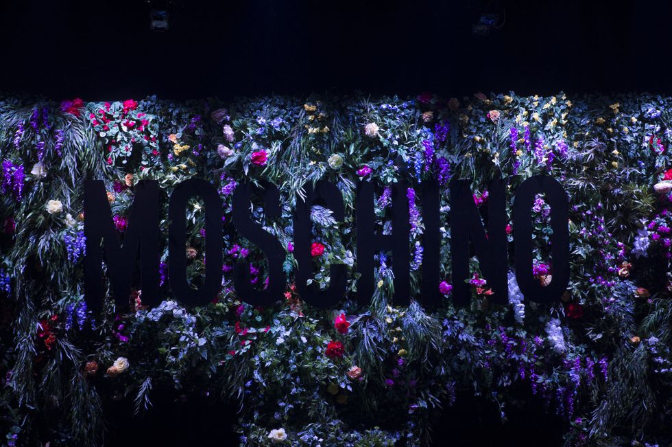 Purple, Violet, Lavender, Night, Plant, Tree, Flower, Crowd, Performance, Space, 