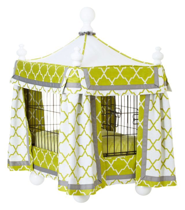 Yellow, White, Pattern, Aqua, Cage, Home accessories, Illustration, Pet supply, Pattern, 