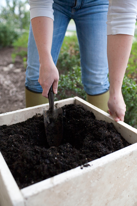 Soil, Compost, Sowing, Gardener, 