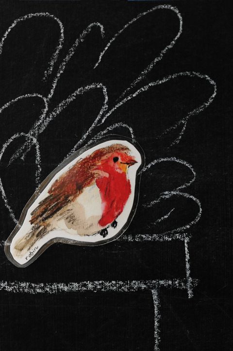 European robin, Bird, Songbird, Old World flycatcher, Illustration, Perching bird, Finch, Feather, Cardinal, Parrot, 