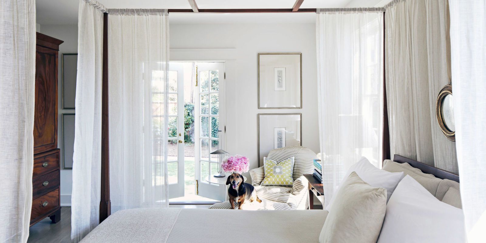 Adorable Dogs And Cats In Designer Rooms   Landscape 1425933352 Hbx0711104a 