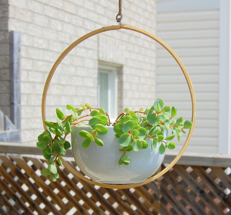 Green, Flowerpot, Leaf, Houseplant, Plant, Flower, Wall, Window, Iron, Architecture, 