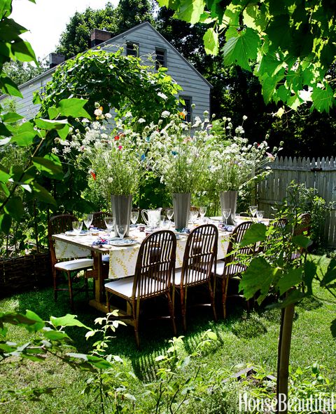 Plant, Furniture, Table, Leaf, Chair, Garden, Outdoor table, Shrub, Outdoor furniture, Backyard, 