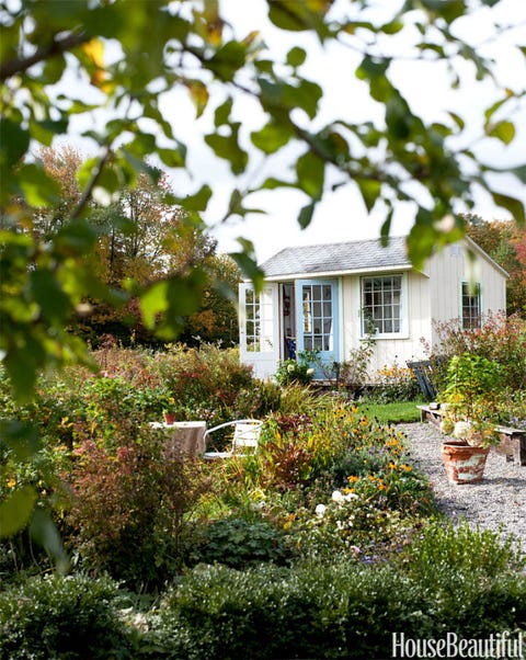 Plant, Window, Property, House, Shrub, Building, Garden, Real estate, Home, Residential area, 