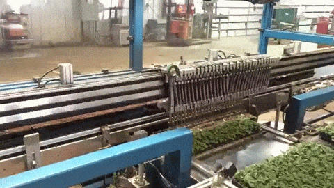Garden Robot gif