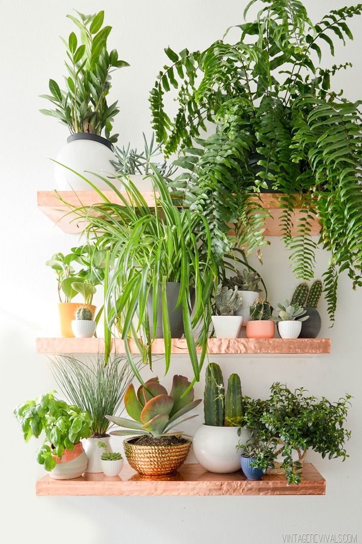 9 Best Vertical Garden Ideas Easy, Best Plants For Shelves