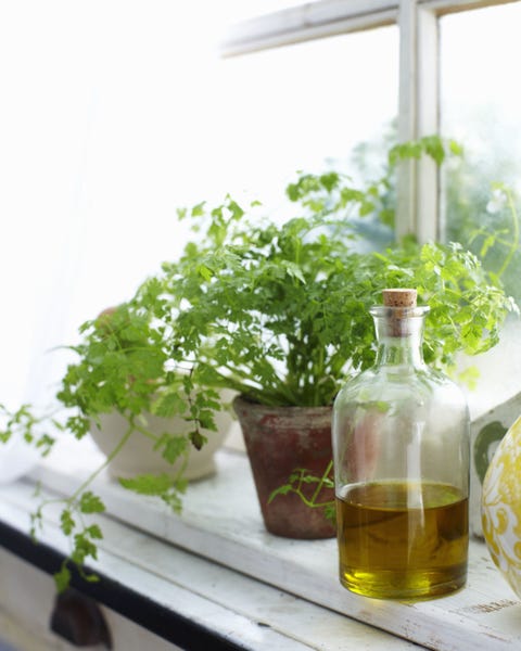 Anyone Can Grow Herbs With This Super-Helpful Chart