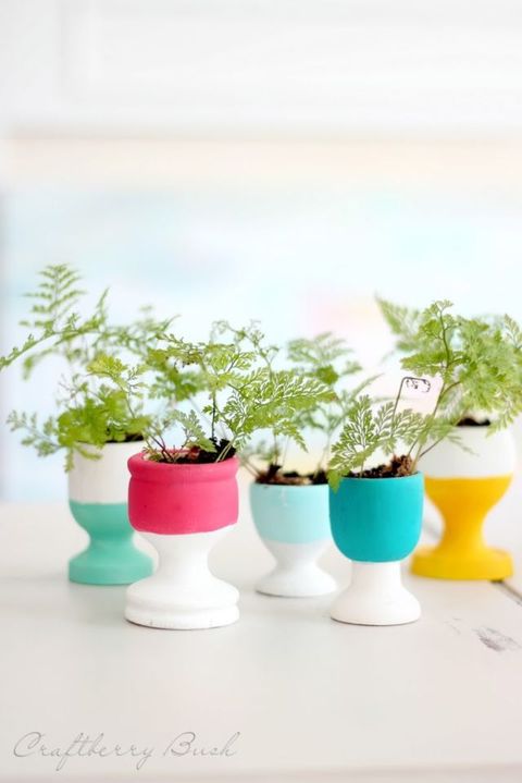 egg-cup-craftberrybush , 12 DIY Planters Your Houseplants Need